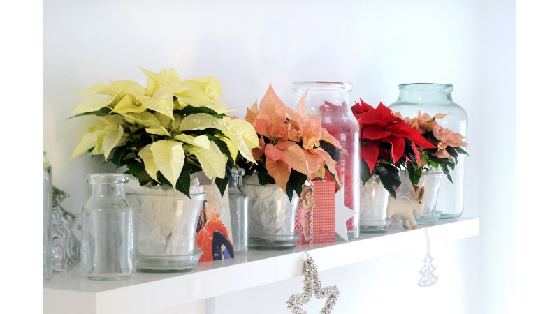 kerstster20132