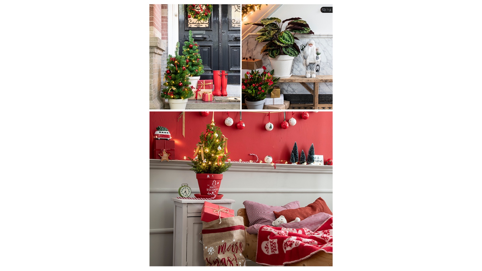 intratuin kerst