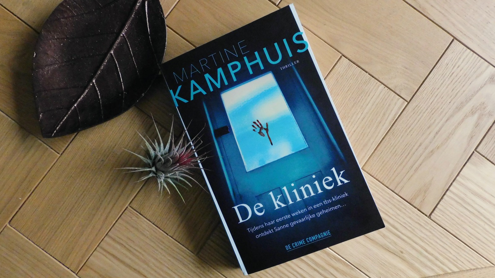 De kliniek - Martine Kamphuis