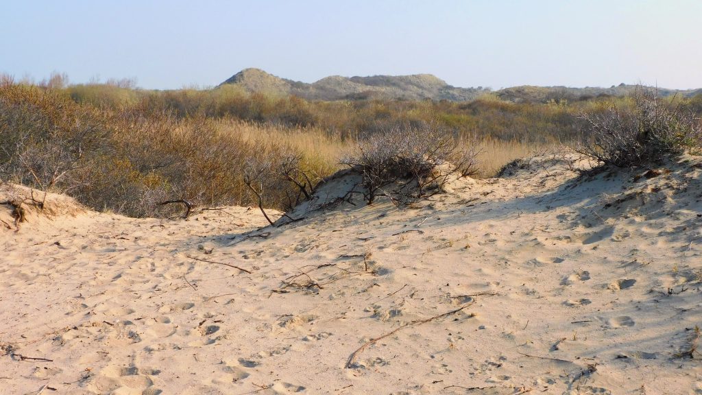 Qurios Bloemendaal aan Zee